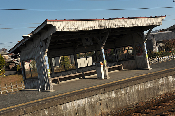 111117 6 DSC_7538.jpg